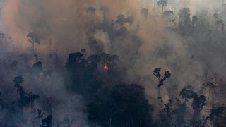 The Amazon Is Fucked Under Brazil's President, New Data Confirms